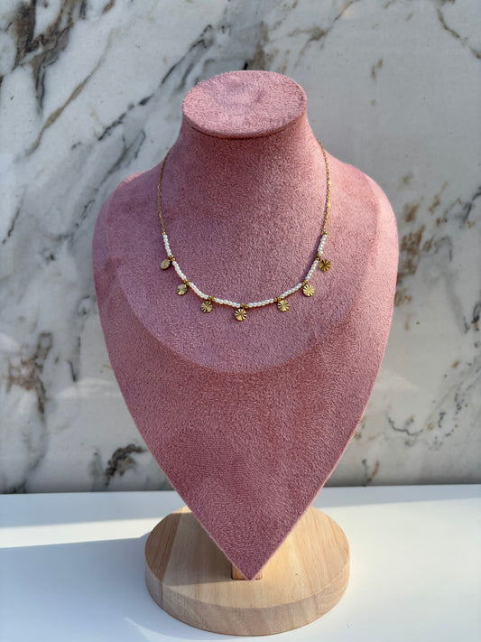 Collana MARTA